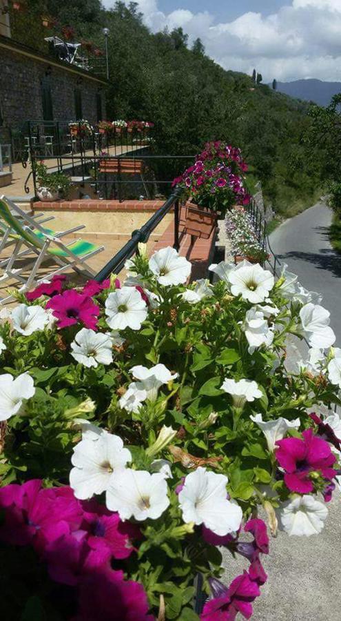 B&B Le Colline Di Bana Camogli Luaran gambar