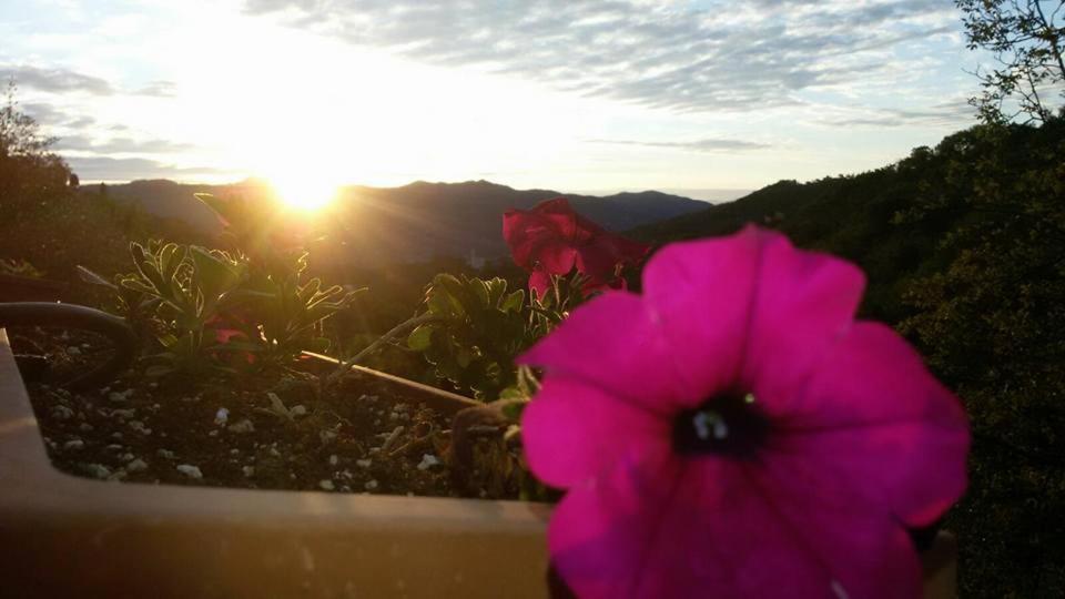 B&B Le Colline Di Bana Camogli Luaran gambar